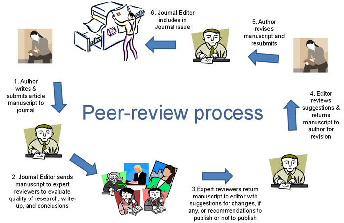 what is peer review