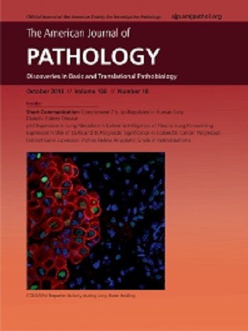 American Journal of Pathology