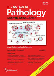 The Journal of pathology