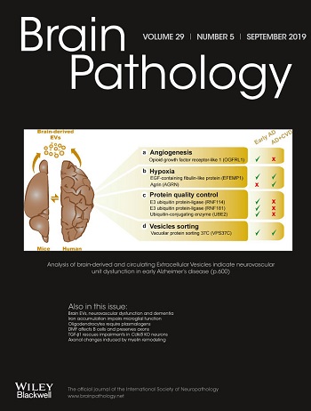 Brain pathology