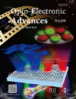 Opto Electronic Advances