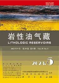 Lithologic Reservoirs