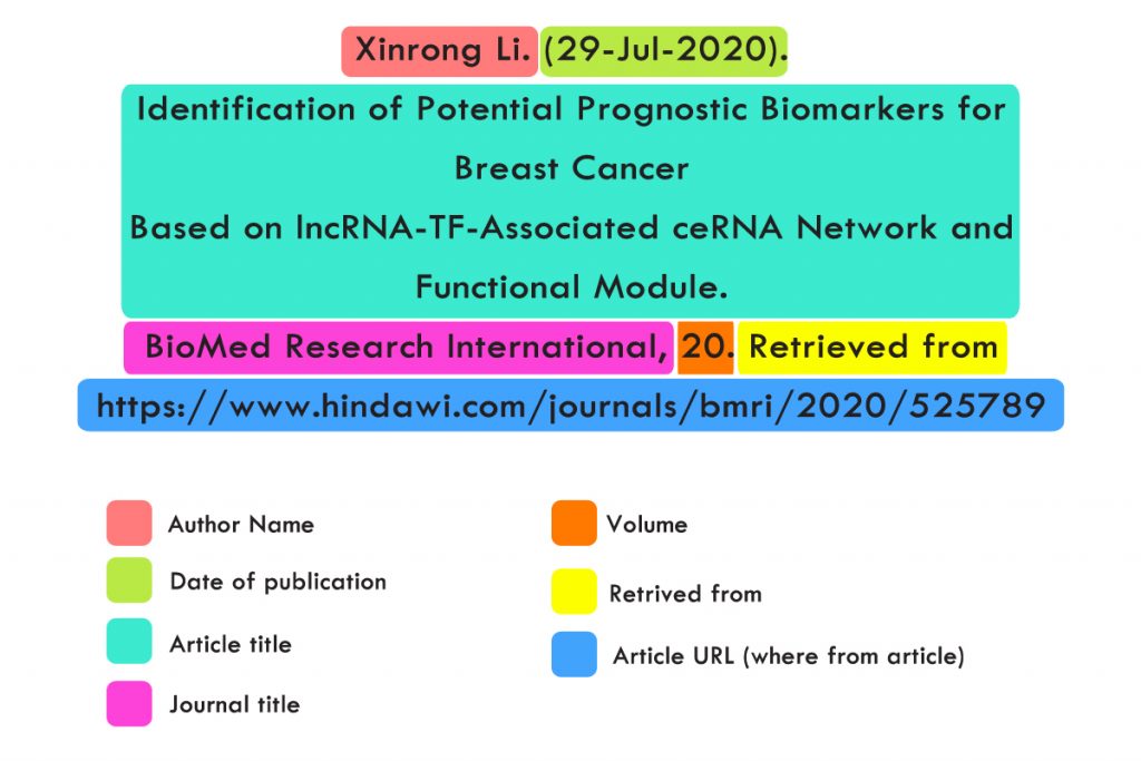 APA Citation Example with URL